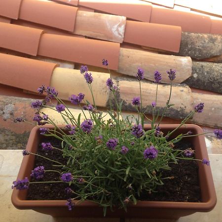 Gerani House Villa Cefalu Bagian luar foto