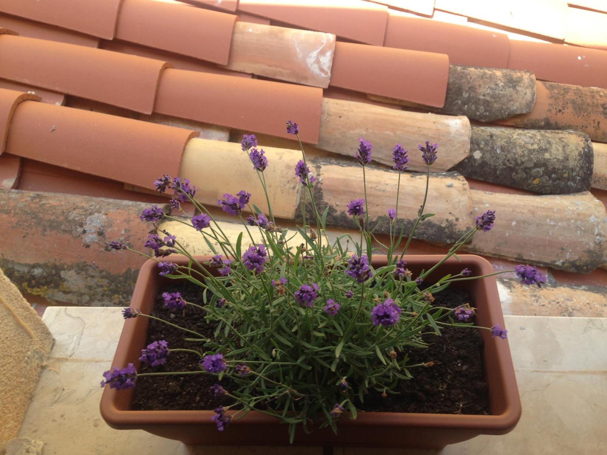 Gerani House Villa Cefalu Bagian luar foto